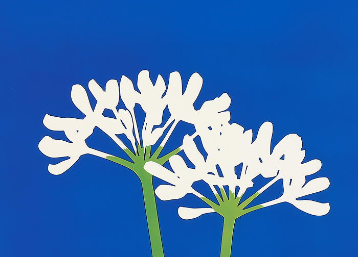 SÉRIE : AIL DES OURS - Atma Kitchenware